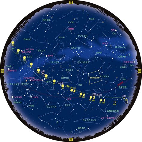 12月21是什麼星座|12月21日星座